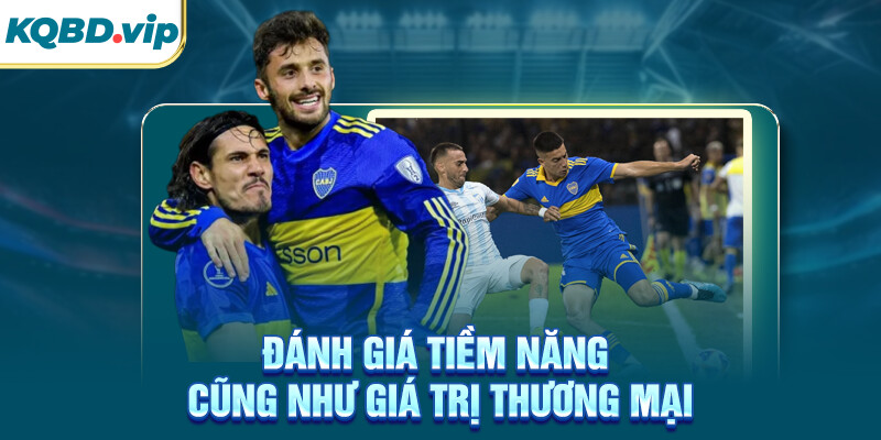 Đánh giá tiềm năng cũng như giá trị thương mại