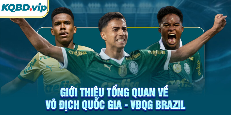Giới thiệu tổng quan về VĐQG Brazil