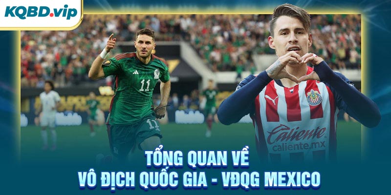 Tổng quan về VĐQG Mexico